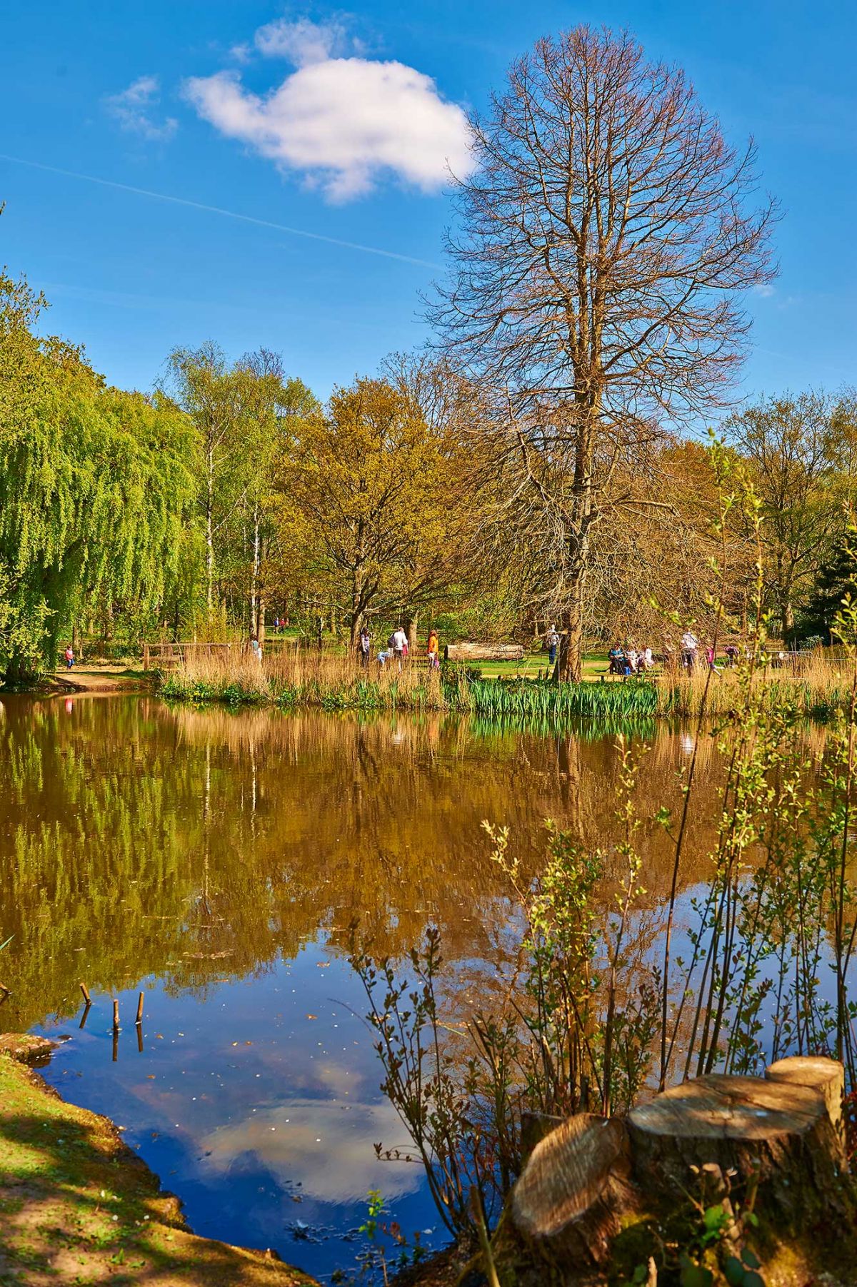 Isabella Plantation