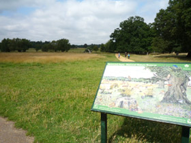 Road Signs in Richmond Park